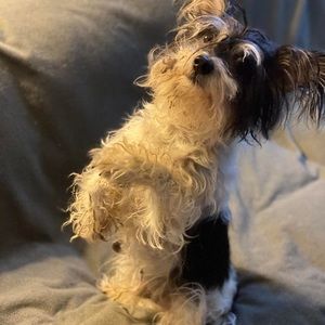 Meet your Posher, James